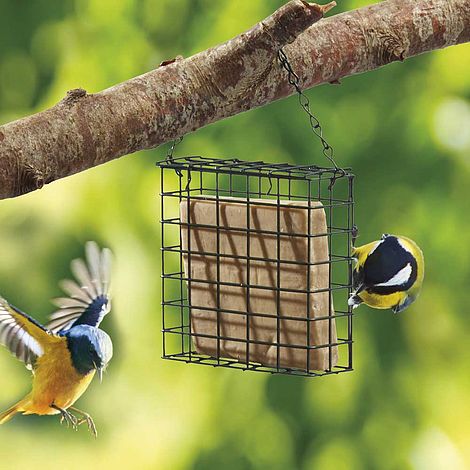 Nature’s Market Suet Cake Bird Feeder